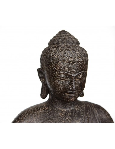 "atmanjali mudra" Seated Buddha...