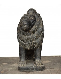 Lion Assis