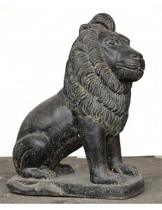 Lion Assis 2