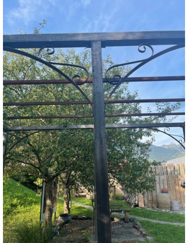 Rectangular wrought iron pergola