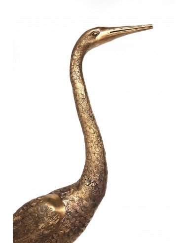 Heiliger Kranich mit geradem Hals