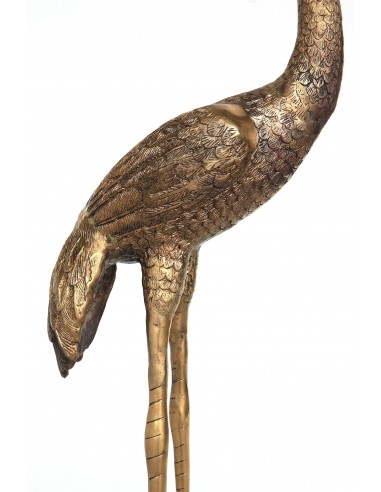 Heiliger Kranich mit geradem Hals