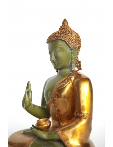 copy of Buddha vert racine