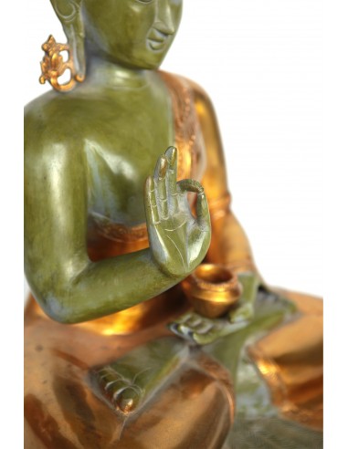 copy of Buddha vert racine