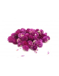 Thé Perpétual Violette au...