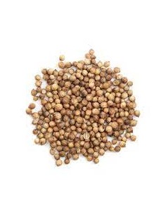 Graines en Coriandre au...