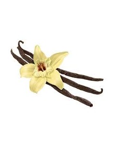 Vanille ätherisches Bio-Öl... 2