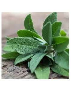 Sage organic essential... 2