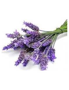 Lavendel Bio ätherisches Öl... 2
