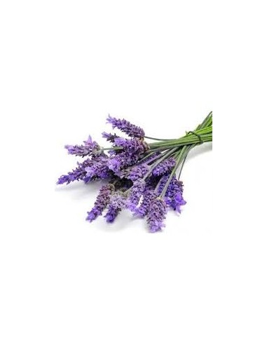 Huile Essentielle Bio Lavande 15 ml