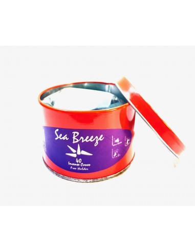 Encens "Agra" en cônes - Sea Breeze