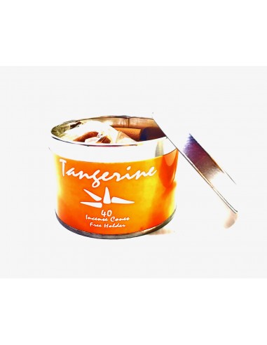 Räucherkegel "Agra"  - Mandarine