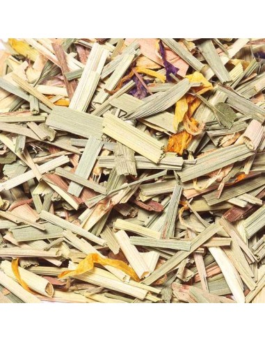 Infuso di zenzero biologico per grammo