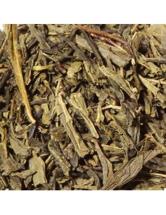 Thé Vert Bancha au Sachets 2