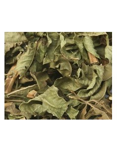Thé Verveine Citronnelle au... 2