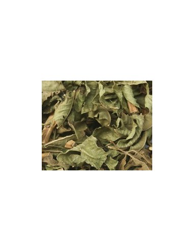 Lemon verbena infusion per gram