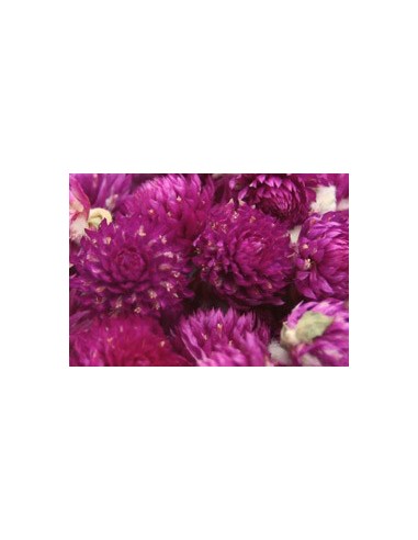 Thé Perpétual Violette au gramme