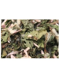 The Arôme du Matin au... 2