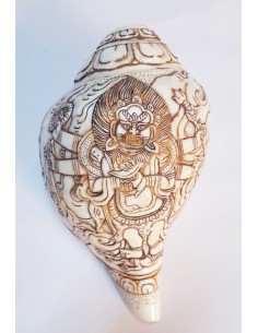 Coquillage Sacré du Tibet