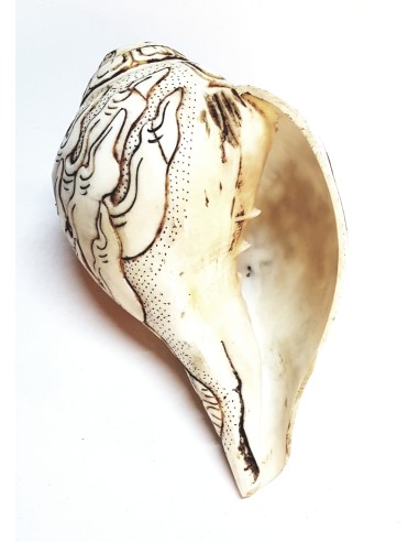 Copuillage Sacré du Tibet