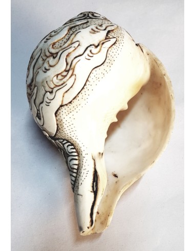 Coquillage Sacré du Tibet