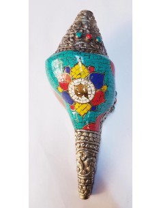 Coquillage Sacré du Tibet
