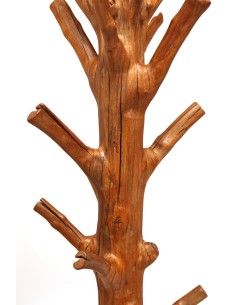 copy of Teakbaum "Amodini" 2