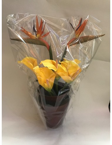 Bouquet Fleurs avec Vase