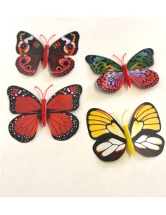 Papillon Divers Déco Aimant