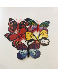 10 Papillon Divers Déco Aimant