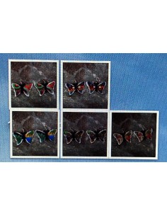 3 Boucles d'oreilles...