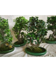 3 Bonsai artificiel