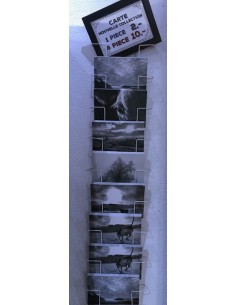 Carte "Le Choix de la Terre" 2