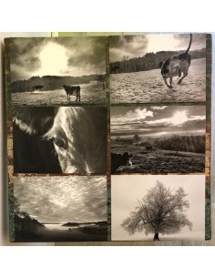 Carte "Le Choix de la Terre"