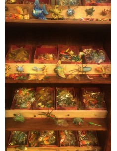 Expo Animaux Aimant Divers