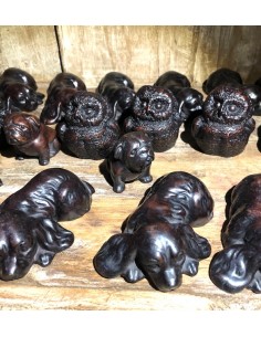 Expo Resine Petit Animaux