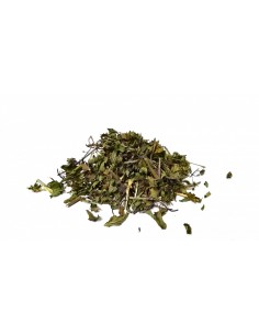 copy of Infusion Three...