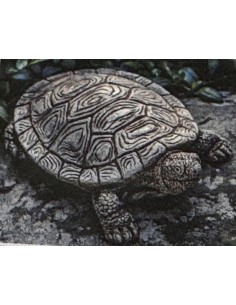 Tortue d'eau en pierre...