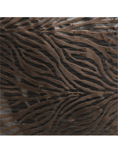 “Zebra“ Cushion cover - 40x40 cm