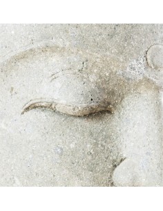Buddha head stone statue 2