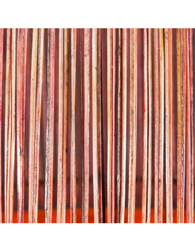 Spia arancione con le canne