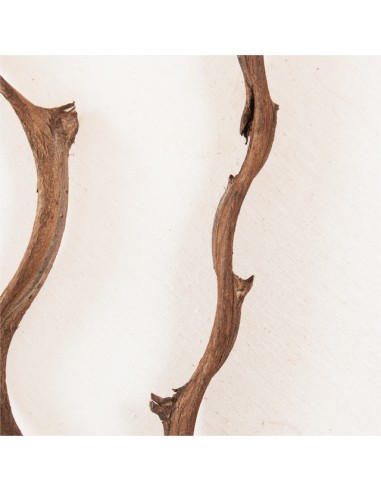 Applique "Lune" - Blanc - Grand