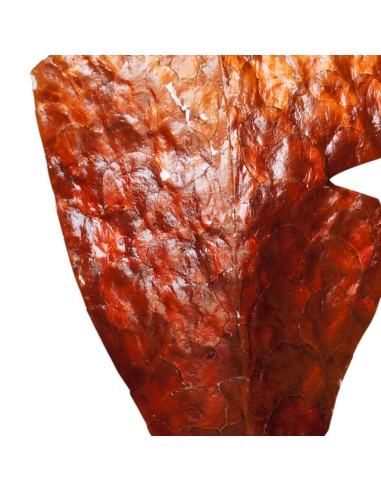 Lampe "Tanka rekku" - Moyen