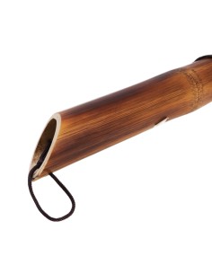 "Jingwei" massage stick 2