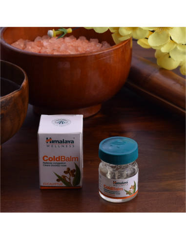 Himalaya-Balsam "Kältebalsam"