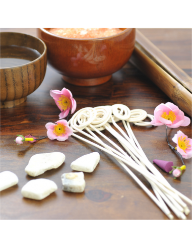 Bâtonnet for diffuser "Flower"