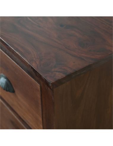 Small buffet "Darpana"