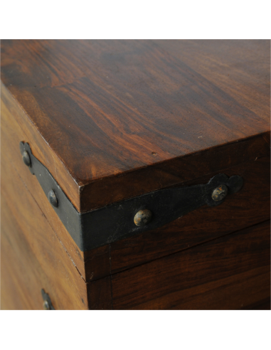 Coffre rectangulaire "Punjaka"